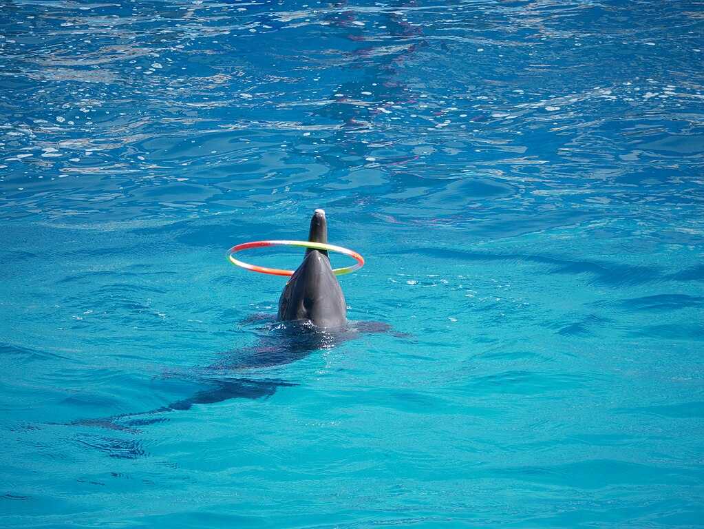 Safari World Bangkok