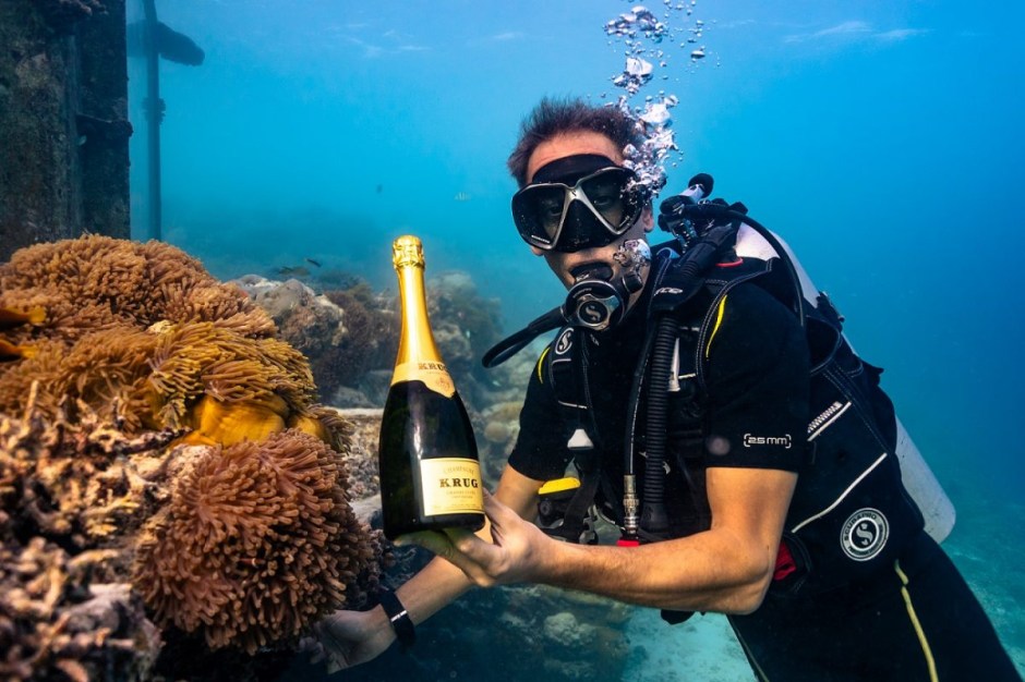 Raise your glass to adventure and luxury beneath the waves at Anantara Kihavah’s SEA—where fine dining meets the ocean in a spectacular underwater world.