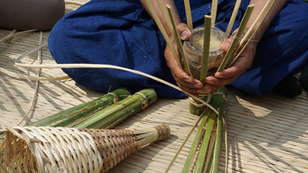 Where Conservation Meets Luxury: A Visit to Four Seasons Tented Camp Golden Triangle